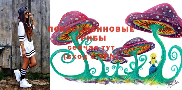 шишки Алексеевка