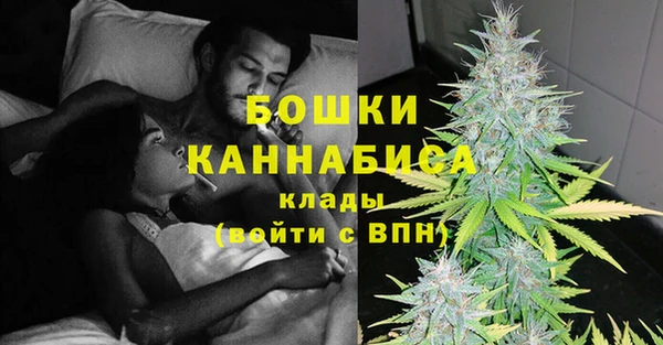 шишки Алексеевка